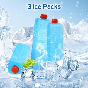 3 ice packs